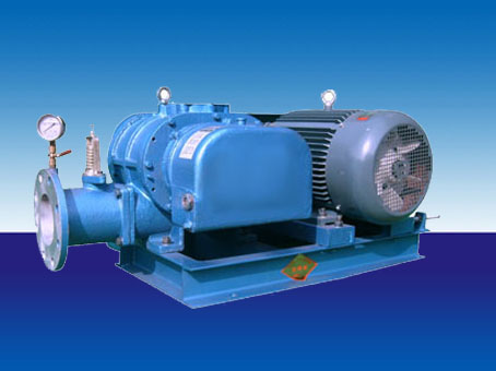 SR150羅茨鼓風(fēng)機(jī)