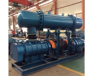 雙極串聯(lián)高壓羅茨鼓風(fēng)機(jī)