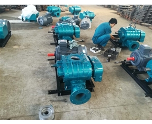 水產(chǎn)養(yǎng)殖羅茨風(fēng)機(jī)