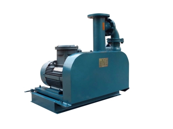 煤氣加壓羅茨鼓風(fēng)機